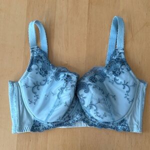 Chic Lace Embroidered Bra in Light Blue